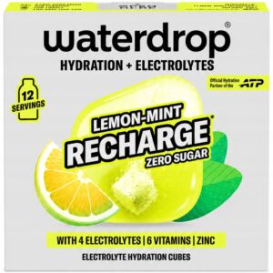 Waterdrops Electrolyte Lemon-Mint Recharge Cubes